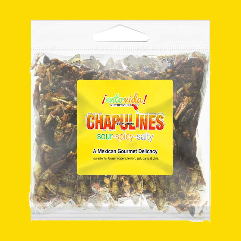 Chapulines Samples For Sale