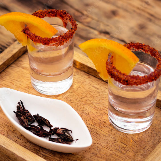 Chapulines Mezcal