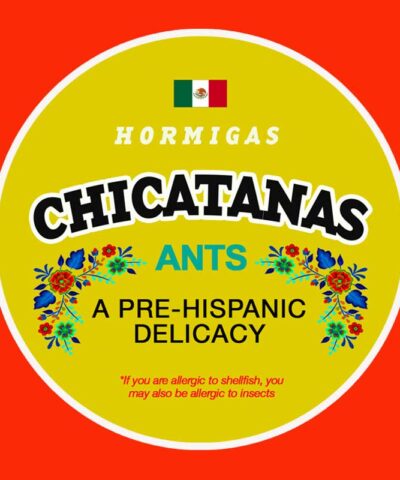 Chicatanas For Sale