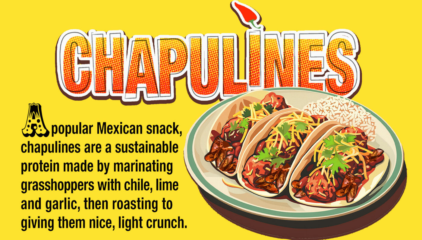 Chapulines USA