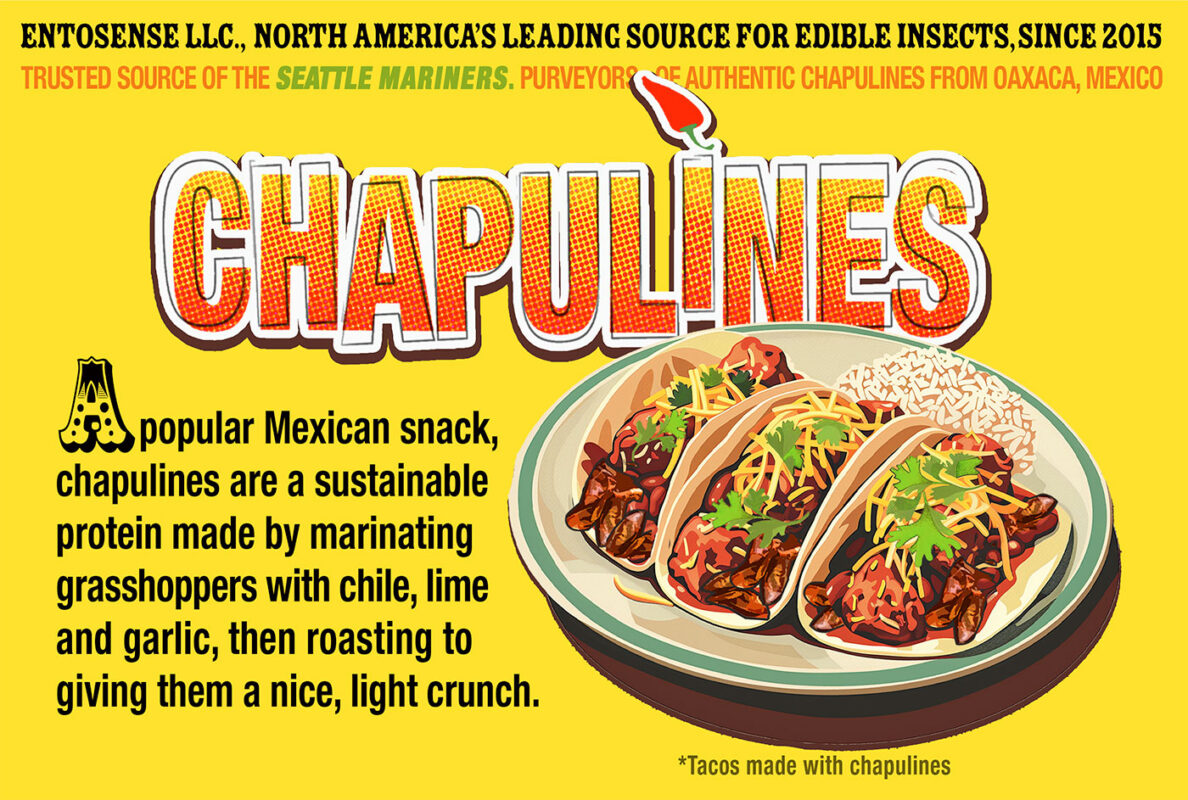 Chapulines USA
