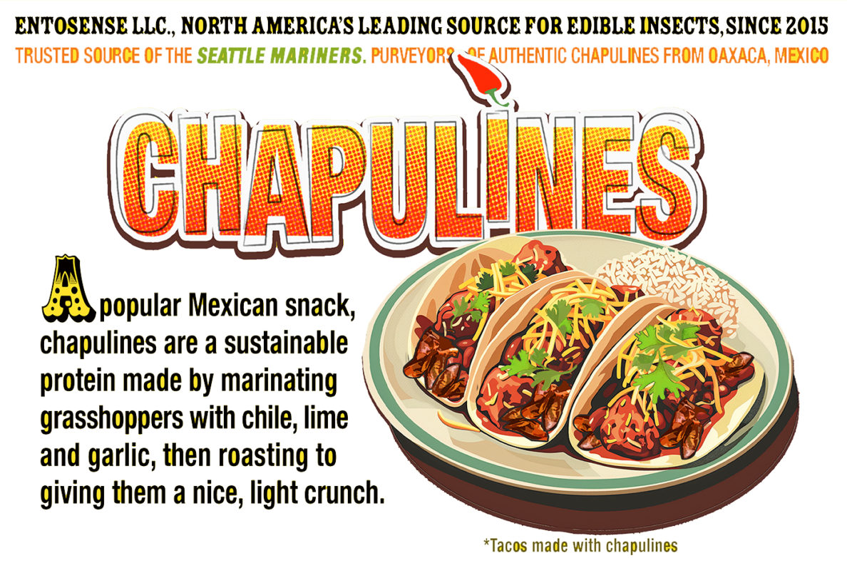 Chapulines USA