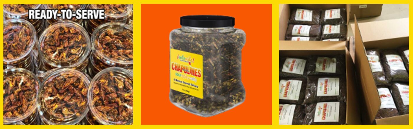Chapulines USA