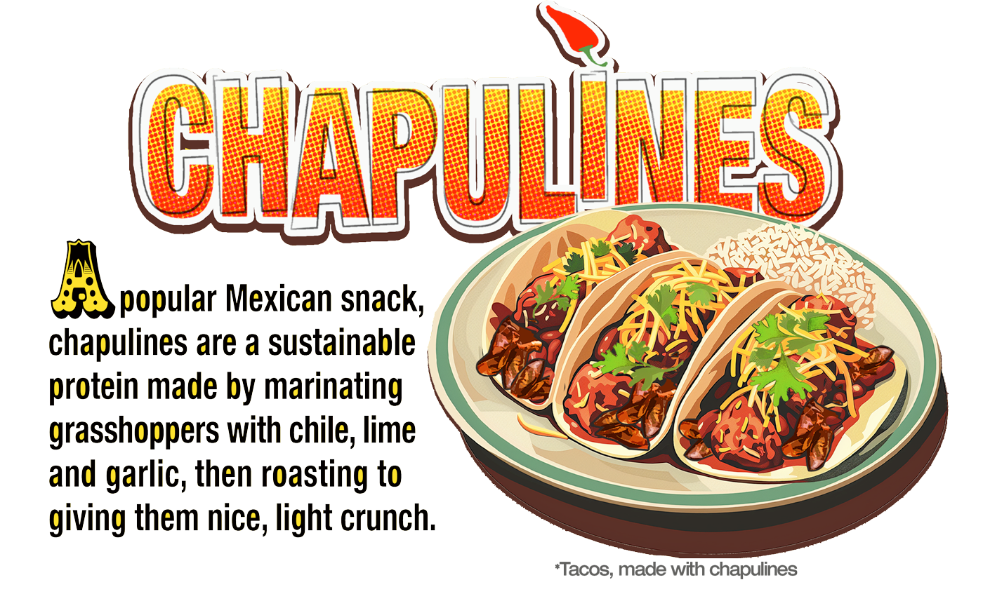 Chapulines Tacos