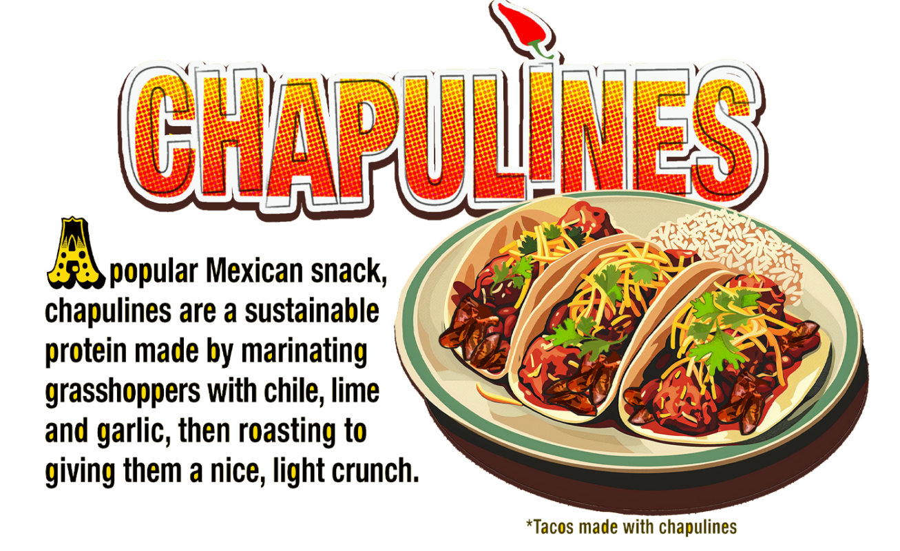 Chapulines USA