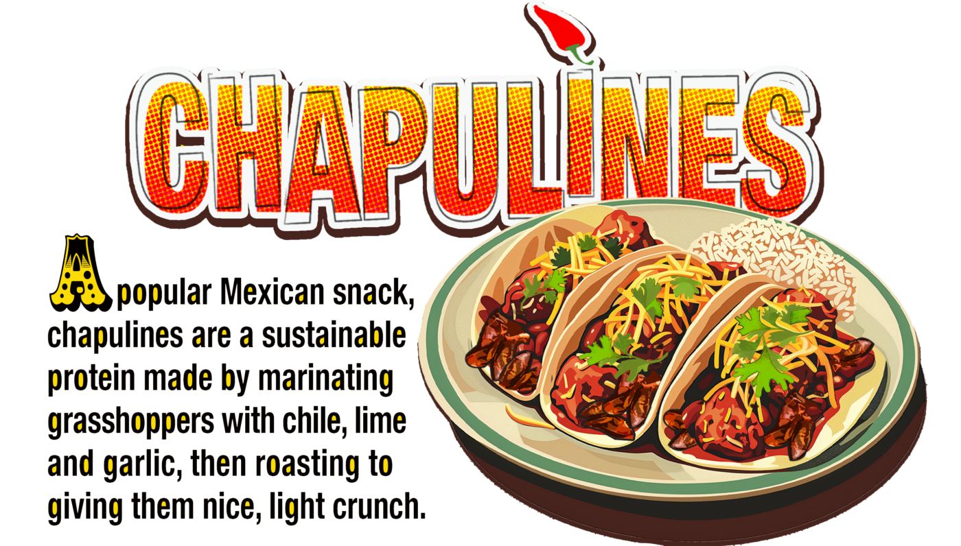 Chapulines USA
